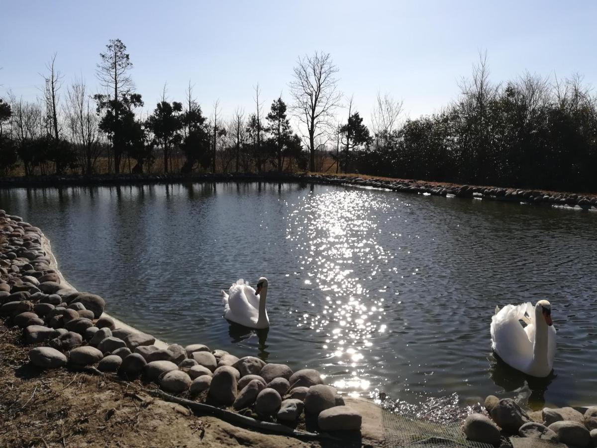 B&B Villa Dei Cigni Reali Carpi Bagian luar foto